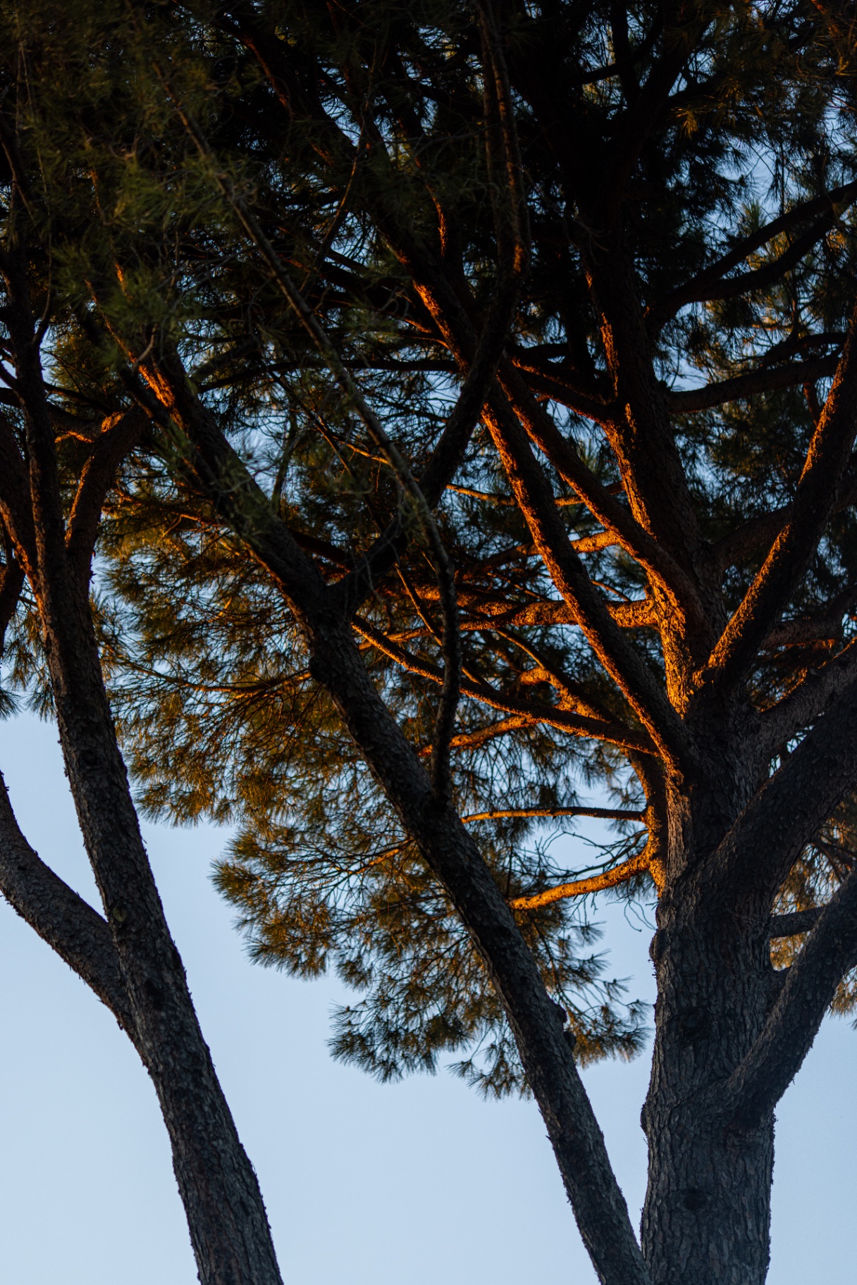 Le Pigonnet · Aix-en-Provence