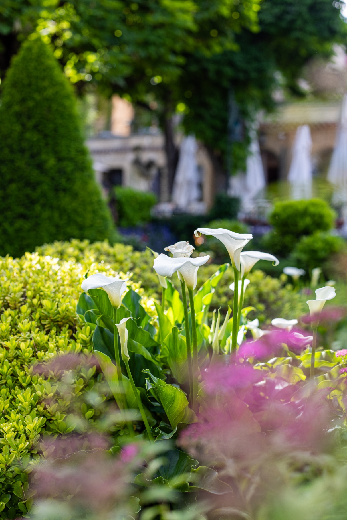 Le Pigonnet · Aix-en-Provence